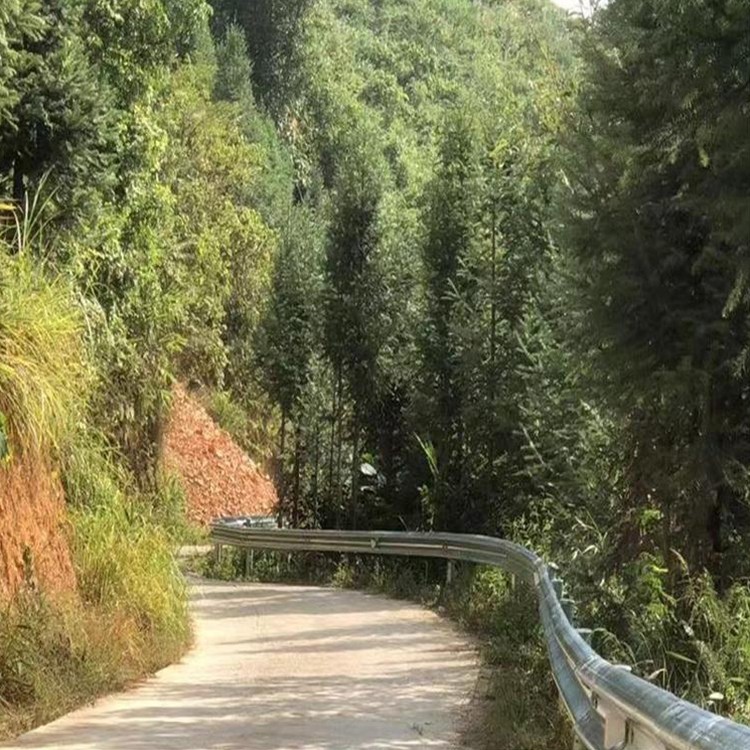 台州波形护栏-河南庞景实业有限公司