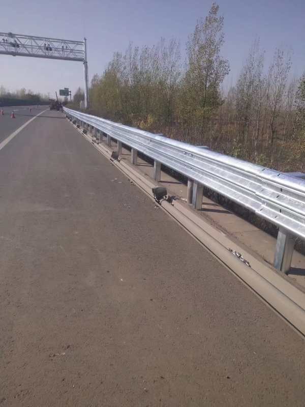 硬化路波形护栏-河南庞景实业有限公司